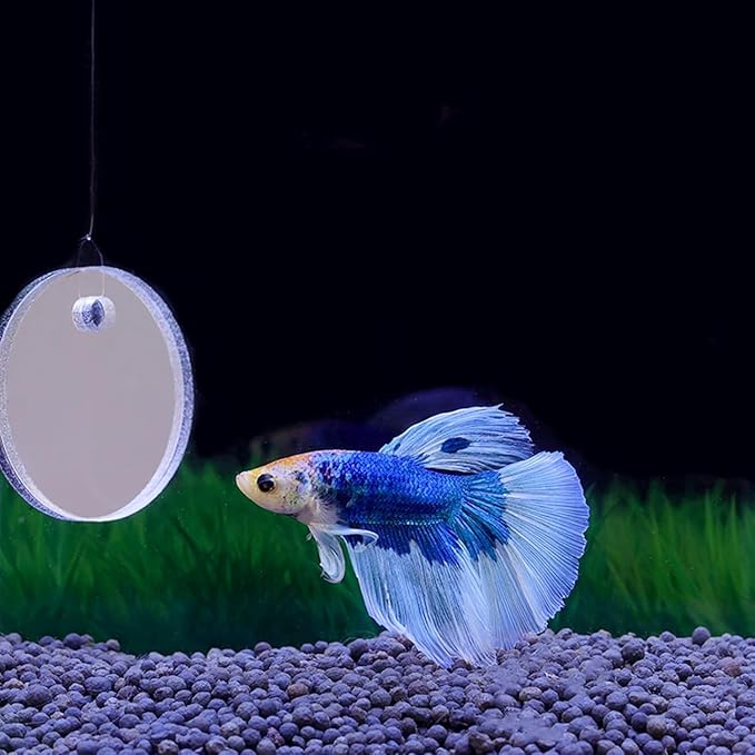 Betta Training Mirror Fish for Tank Fish Antidepressant Work Out Special for Betta Fitness Mirror Betta Toys Mirror Aquarium Decor (7cm)
