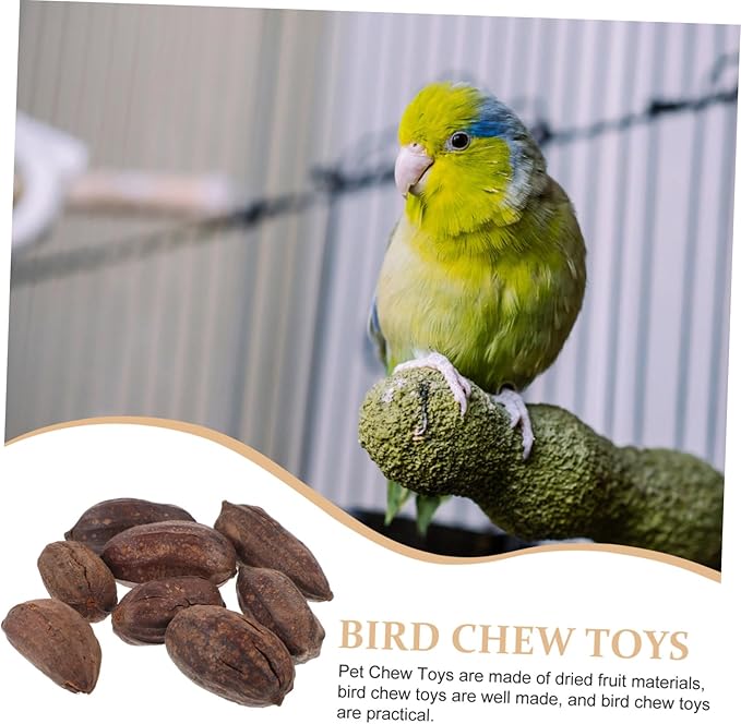 8pcs Natural Dried Fruit Bird Chewing for Parrot Budgie Parakeet Safe Foraging Accessories Healthy Chew for Pet Birds