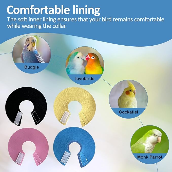 4Pack Bird Cone Collar, Anti-Grab Feather Plucking Wound Healing Safety Elizabethan Collar, Protective Recovery Cones for Budgerigar Cockatiel Lovebirds Cockatoo Parrots (L)