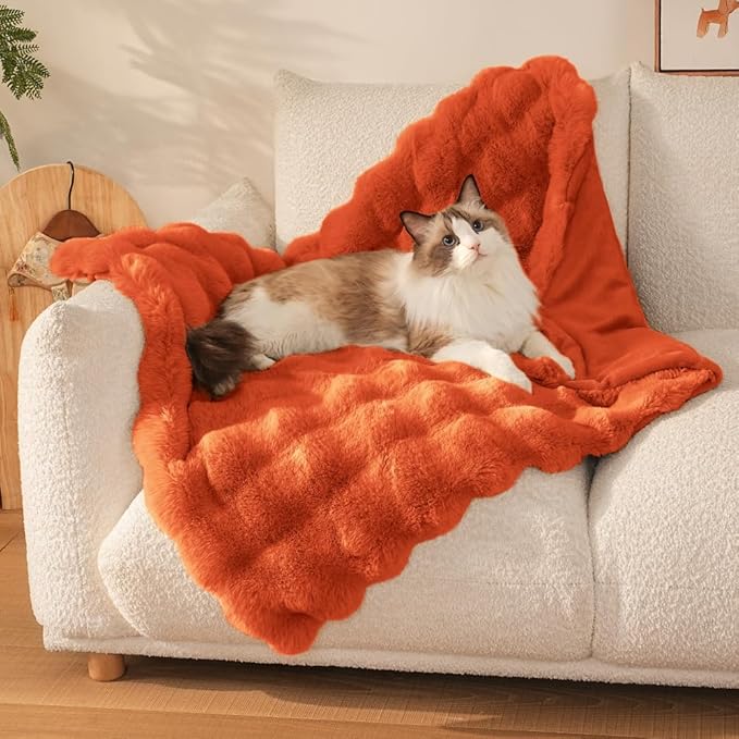Self-Warming Cat Blanket, Dual-Side Plush Sherpa Throw with Anti-Static, Snuggle Mat for Kittens & Cats, Cozy Bed Topper for Windowsills & Couches, Machine Washable & Dryable, 21x18 Inch Orange