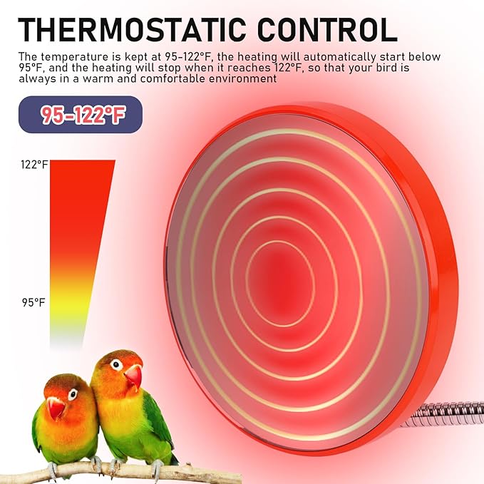 Bird Heater for Cage, Bird Warmer with Mirror Birdcage Heater 12V Bird Heater Pad Bird Heating Plate for Conure Cockatiels Parrots Cocktail African Grays