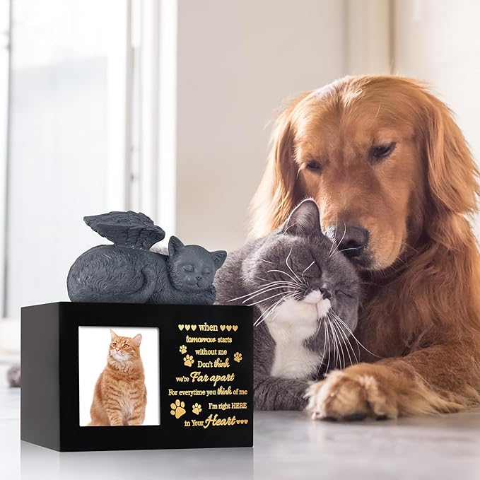 Pet Urns for Ashes, Black Wooden Cat Urns for Ashes with Cat Angel, Cat Memorial Keepsake Memory Box with Photo Frame, Loss Pet Sympathy Remembrance Gift (Medium - Memory)