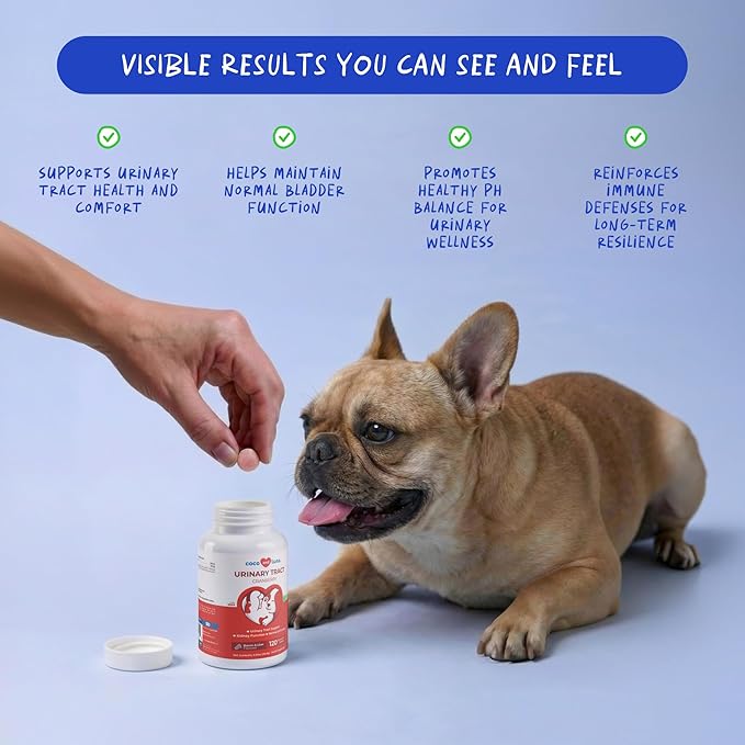 Cranberry for Dogs - Urinary Tract Support, Bladder Health, Dog UTI, Bladder Stones, Incontinence Support (Tablet)