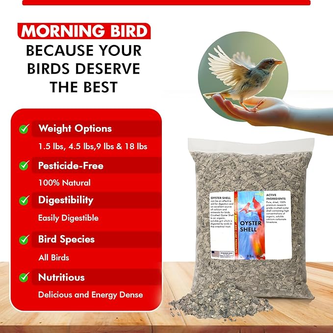 Morning Bird Oyster Shell for Birds 9 lbs - Natural Calcium Supplement – Sustainably Harvested from California Coast - Easy Add to Favorite Mix - Safe Year-Round Bird Food Additive