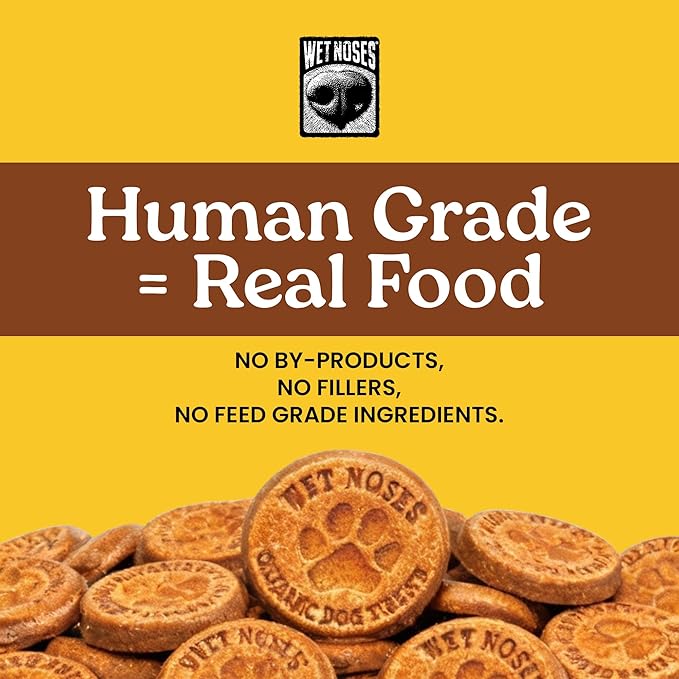 Wet Noses Organic Crunchy Dog Treats Grain Free – All-Natural, Human-Grade, Non-GMO, Healthy Training & Delicious Snacks for Dogs, All Dog Sizes & Breeds – Peanut Butter & Banana, 14oz (Single Pack)