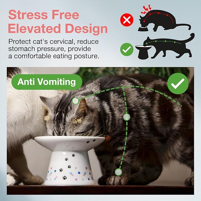 Necoichi Raised Cat Food Bowl Ceramic Elevated Cat Bowl for Whisker & Neck Fatigue, Dishwasher Microwave Safe Non-Slip & Anti Vomiting Ergonomic Design (Colorful Dots, Extra Wide, 2-Cups Capacity)