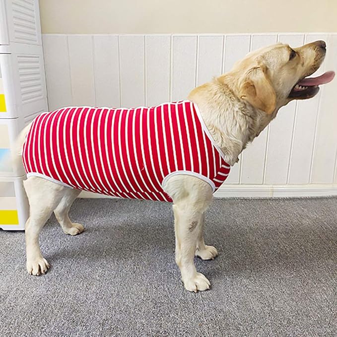 Dog’s Recovery Suit Post Surgery Shirt for Female Male Dog, E-Collar Alternative Wound Protective Clothes (red white-3xl)