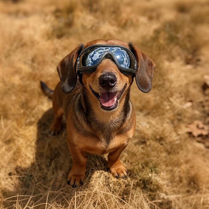 Namsan Medium Dog Goggles, UV Protection Goggles for Dogs Small Medium Breed, Doggy Sunglasses with Adjustable Straps, Windproof Dog Eye Protection for Outdoor Activities, Black