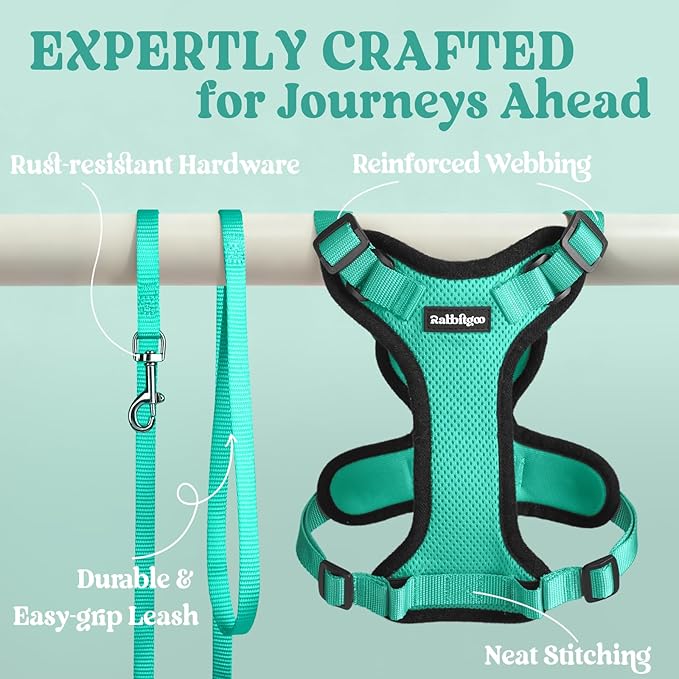 rabbitgoo Cat Harness and Leash for Walking, Escape Proof Soft Adjustable Vest Harnesses for Cats, Easy Control Breathable Reflective Strips Jacket, Emerald, XXS
