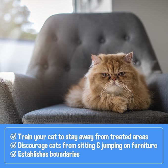 Bodhi Dog 3-in-1 Cat & Kitten Training Aid - Feline Deterrent Spray for Indoor and Outdoor Use - Protect Furniture, Rugs and Plants - Establish Boundaries & Keep Cats Off - Made in USA (32 Fl Oz)