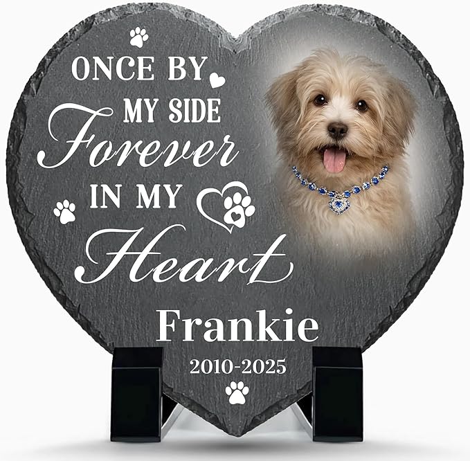 Alienc Personalized Pet Memorial Stone – Custom Dog & Cat Memorial Gifts for Loss, Outdoor Pet Grave Marker, Sympathy Keepsake for Dogs and Cats