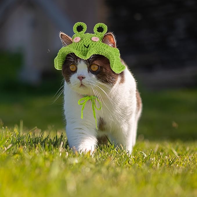 Frog Cat Hat, Cotton & Soft Cute Knitted Cat Hat Birthday Party Christmas Puppy Hats for Small Pets (Green, M)