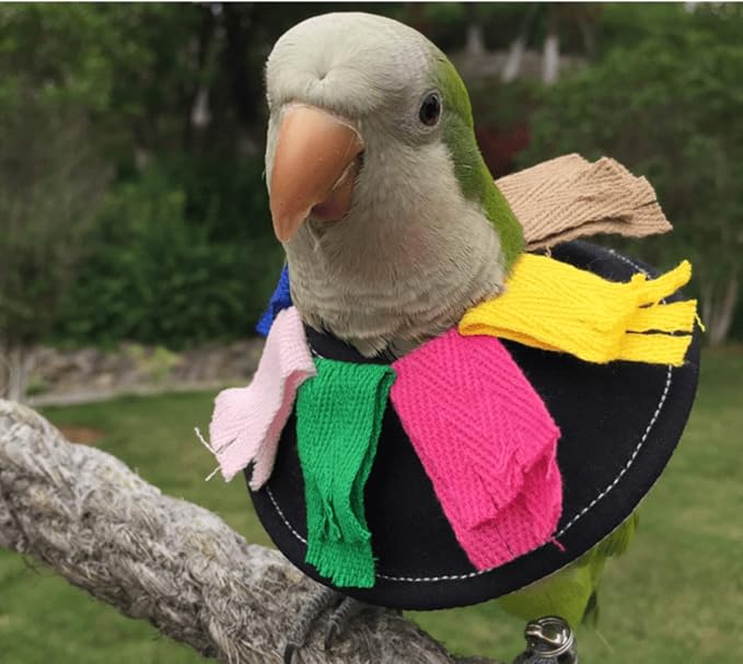 Adjustable Bird Collar Anti Bite Elizabethan Recovery Cone, Bird Neck Protector for Feather Plucking, Skin-Friendly Bird Black B3 B3