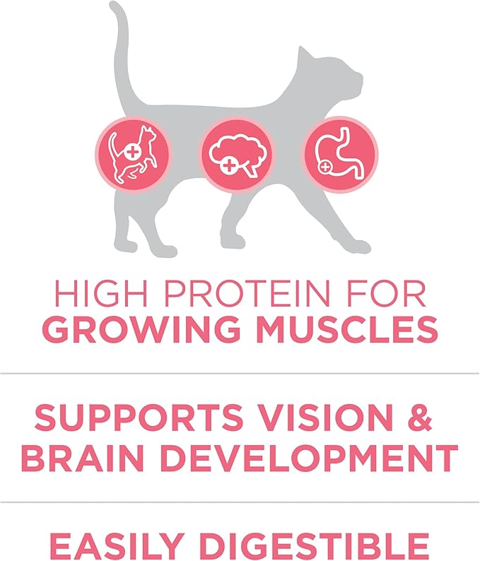Purina ONE High Protein, Natural Dry Kitten Food, +Plus Healthy Kitten Formula - 3.5 lb. Bag