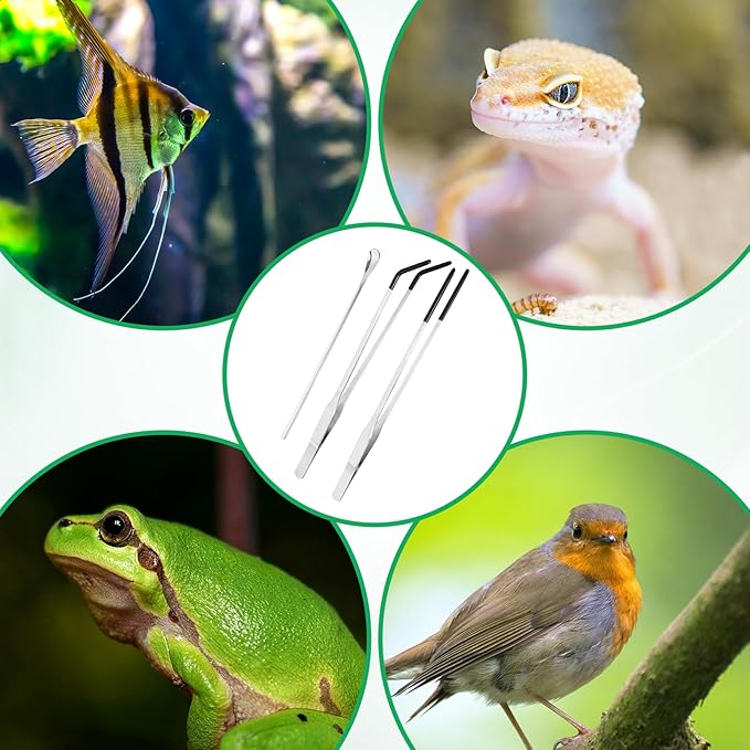 3 Pcs Reptile Feeding Tweezers, Long Aquarium Tweezers Stainless Steel Feeding Tongs with Rubber Tipped Aquariums Tools Feeder for Fish Lizard Gecko Snake Spider Bearded Dragon Lovers