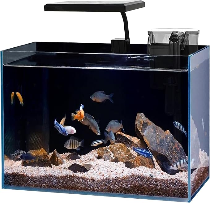 Betta Fish Tank, 2.5 Gallon Nano Nature Aquarium Starter Kit, Ultra-Clear Rimless Desktop Fish Tank with Light, Filter, Gravel and Rock, Aquarium Perfect for Small Fishes, Black