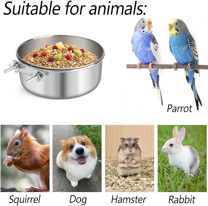 2 Pcs Stainless Steel Bird Food Water Bowls, Parrot Feeding Dish Cups with Clamp Holder Bird Ball Toys for Chinchilla, Cockatiel, Conure, Budgies, Parakeet, Lovebirds, Small Animals (Small)