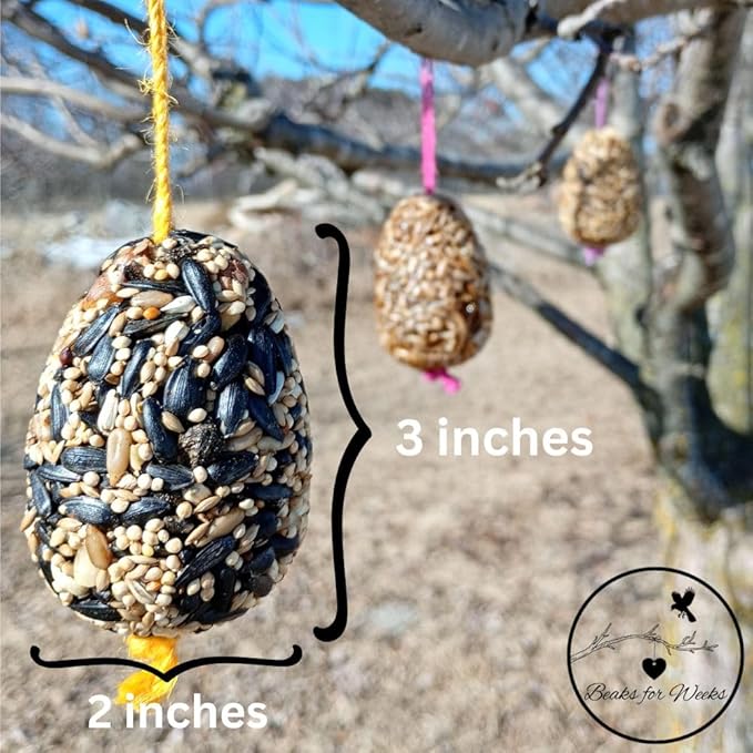 Birdseed Ornaments for Outside - Set of 3 for Wild Birds - Premium Quality - Wild Bird Treats - Egg-Shaped Hanging Birdseed Ornaments