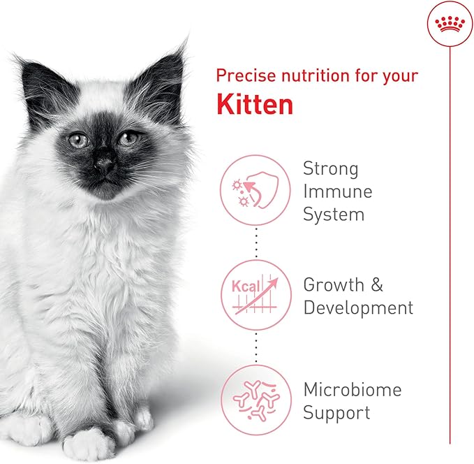 Royal Canin Feline Health Nutrition Kitten Dry Cat Food, 14 lb Bag