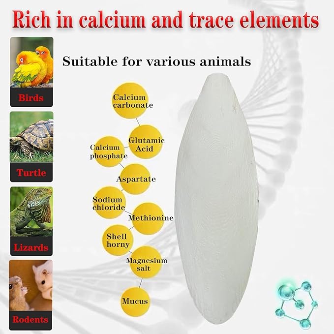 5.5"-7.1" Large Bird Cuttlebone for Parakeets, Cuddle Bone with Plastic Holder, Cuttlefish Bone for Sharp Beaks, Natural Birds Calcium Suitable for Parrots Cockatiels Budgie, 3pcs