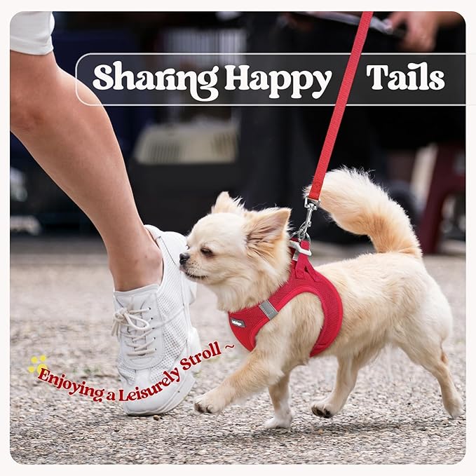 rabbitgoo Dog Harness Small Sized and Leash Set, Step in Soft Light Puppy Vest, Breathable Mesh Pet Harness, Reflective for Outdoor Safe Walking, Red XXXS