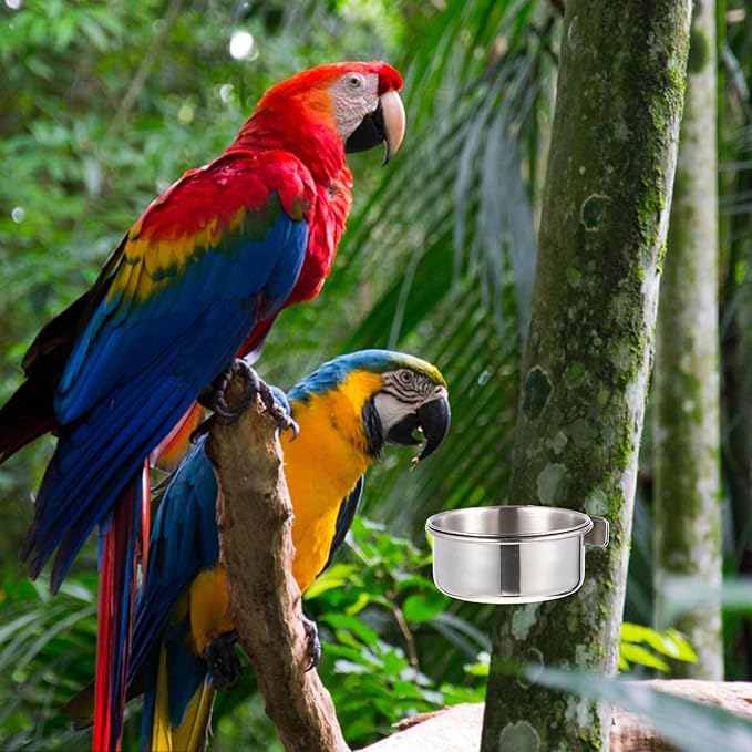 Yardwe Parrot Feed Cup Stainless Steel Bird Feeder 4.92X3.93X3.54In Bird Food Bowl Cage Accessory for Parakeet Cockatiel Conure Budgie