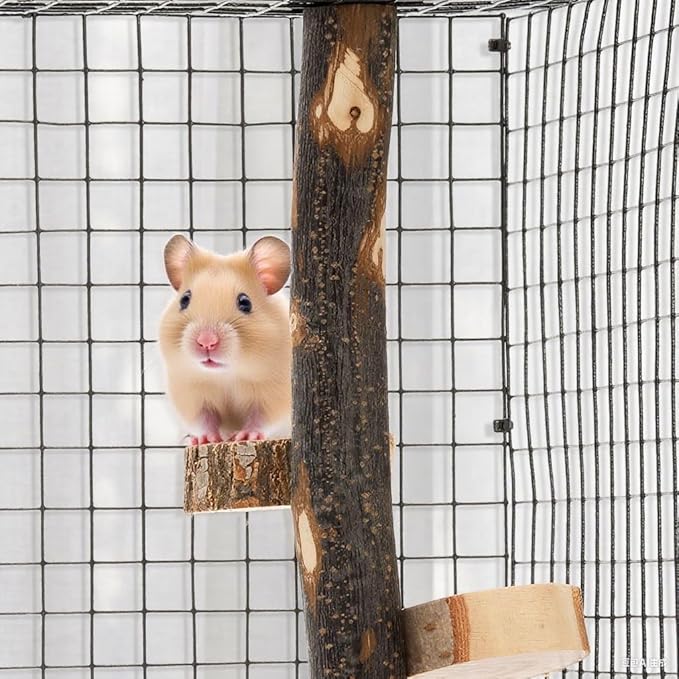 Natural Wood Bird Perch, 12 Inch Parrot Perch Stand for Cage, Small Animals Hanging Perch & Platforms for Parakeet Parrots Cockatiel, Conure, Budgie, Macaw, Bird Cage Accessories