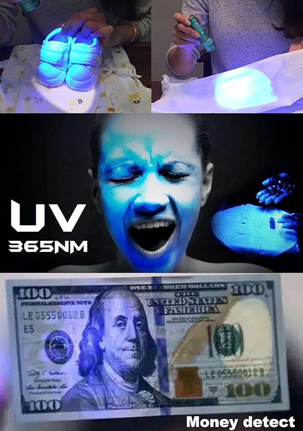 DARKBEAM UV 365nm Flashlight USB Rechargeable Ultraviolet Light led Blacklight Wood's lamp Portable Mini Detector for Dog/Cat Urine Pet Stains, Anti-counterfeiting Identification, Resin Curing