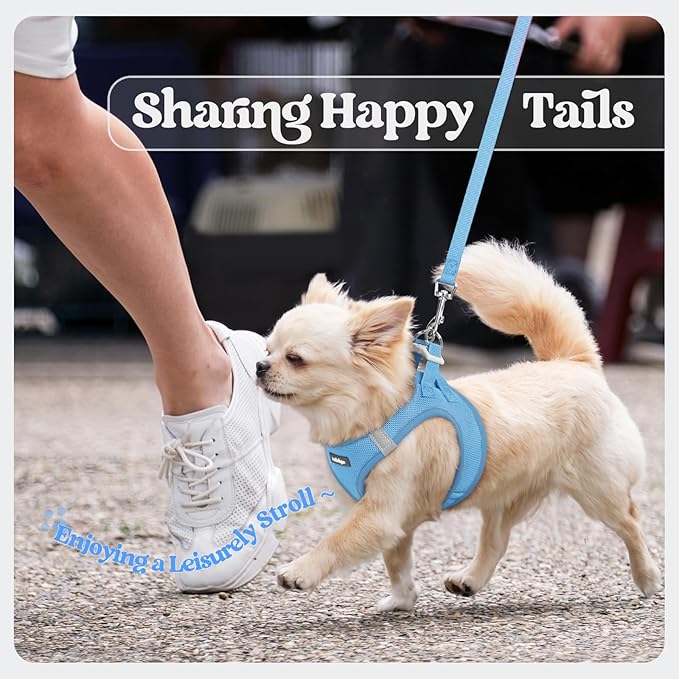rabbitgoo Dog Harness Small Medium Sized and Leash Set, Step in Soft Light Puppy Vest, Breathable Mesh Pet Harness, Reflective for Safe Easy Walking, Blue XL