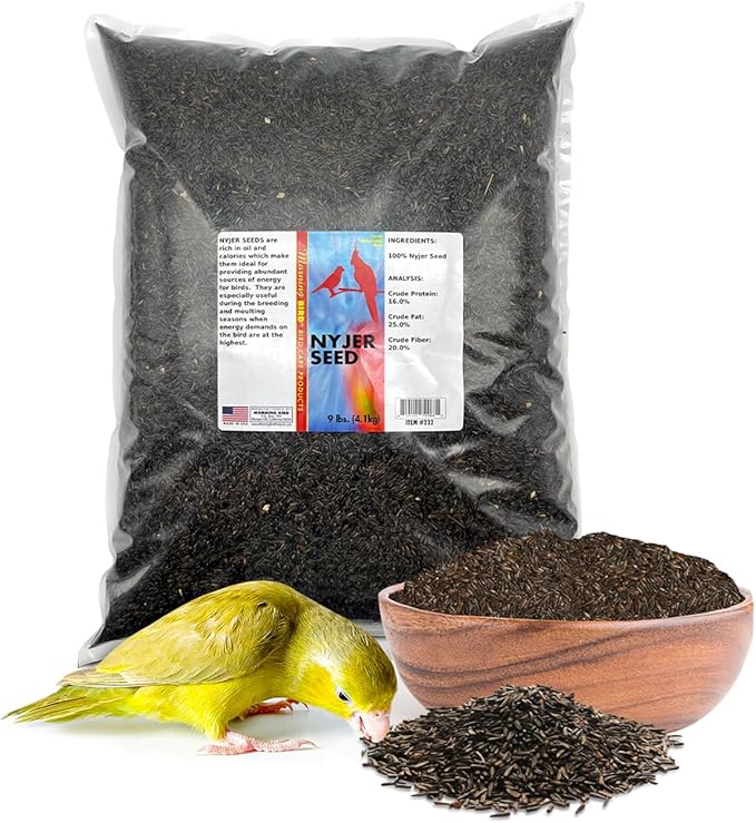 Morning Bird Nyjer Seed for Birds 9 lbs – Energizing Nutrition with Rich Natural and Healthy Fats – Ideal Bird Food for Breeding & Molting – Great for Canaries, and Other Seed-Eating All Birds