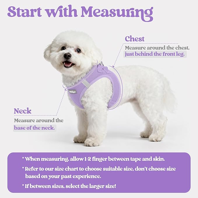 rabbitgoo Dog Harness Small Sized and Leash Set, Step in Soft Light Puppy Vest, Breathable Mesh Pet Harness, Reflective for Safe Easy Walking, Light Purple M