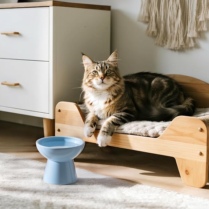 Extra Wide Elevated Ceramic Cat Water Bowl - 6.2" Deeper Dish for Whisker Fatigue Relief, 5" Height for Easy Feeding, Lead & Cadmium Free, Durable Raised Cat Bowls, Blue