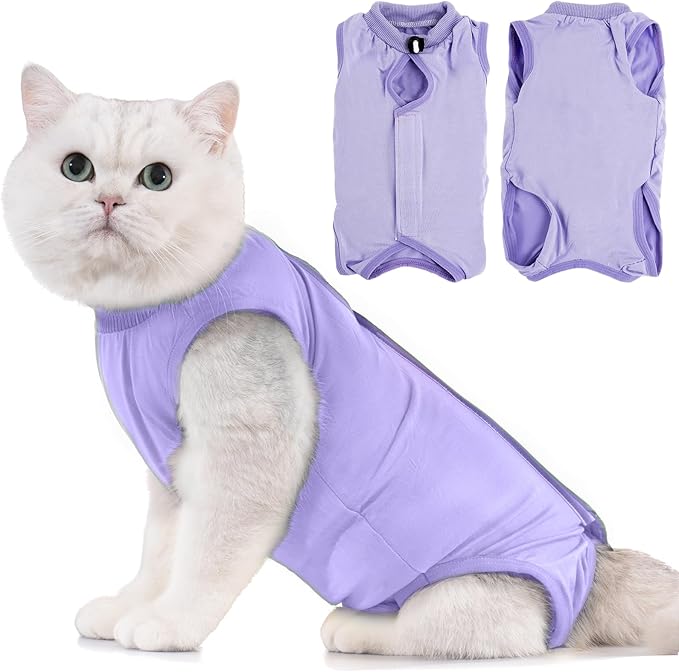 Avont Cat Recovery Suit - Kitten Onesie for Cats After Surgery, Cone of Shame Alternative Surgical Spay Suit for Female Cat, Post-Surgery or Skin Diseases Protection -Purple(M)