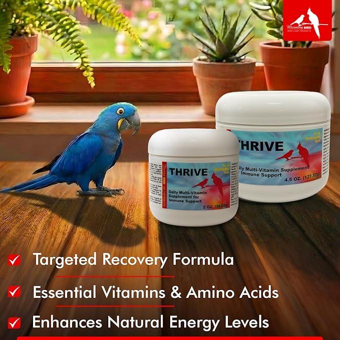 Morning Bird Thrive 2 oz – Daily Multi-Vitamin Bird Supplement for Immune & Recovery Support – Ideal for Sick, Injured, or Recovering Birds – Energy & Wellness Formula for Adult Birds