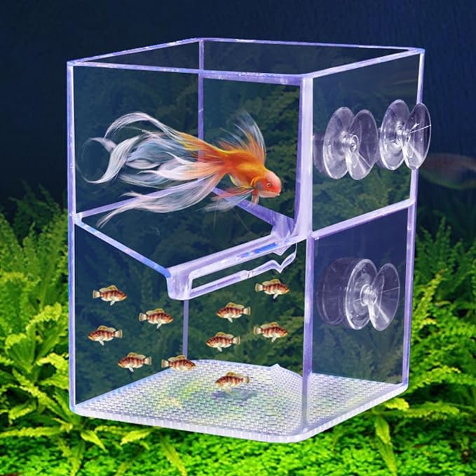 Fish Tank Breeder Box – Suction Cup Isolation Container | Divider Hatchery Unit for Acclimating Raising Fry, Aquarium Setup Accessory for Separating Injured or Aggressive Aquatic Species