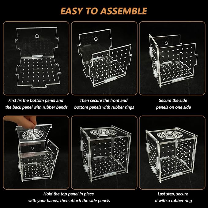 GKPONSX Acrylic Fish Breeding Box, Transparent Fish Isolation Box Hatchery Incubator with Suction Cups for Aquarium Fish Tank Guppy Shrimp Clownfish African Cichlids (4 * 4 * 4inch)