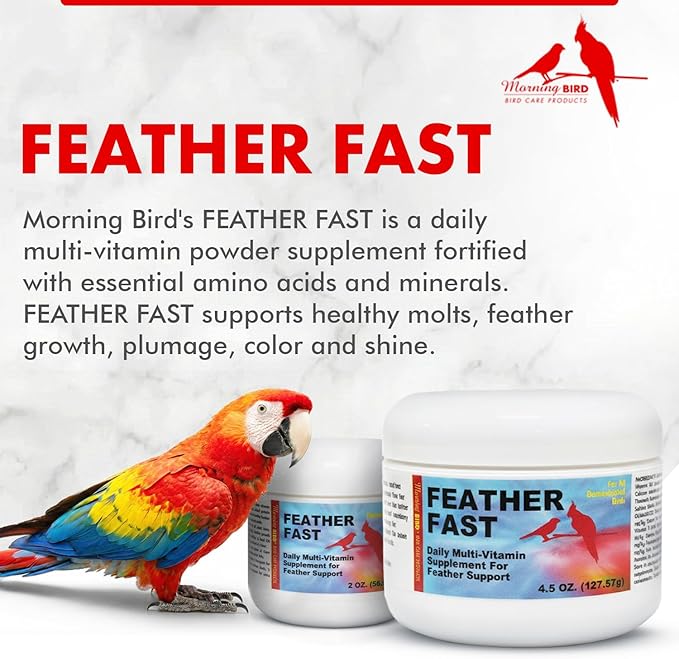 Morning Bird Feather Fast 4.5 Oz – Daily Multi-Vitamin for Growth & Molting Support – Promotes Healthy Feather Strength & Full Plumage – Supplement for All Adult Birds