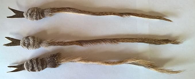 Fun Rat Pack Snake Refill/Attachment - Fits Wildcat and Popular Bird and Mouse Type Wands/Poles