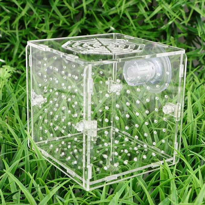 Acrylic Fish Breeding Tank with 2mm Round Hole Suction Cups 10x10x10cm Isolation Box for Aquarium Fish Hatchery and Fry Nursery