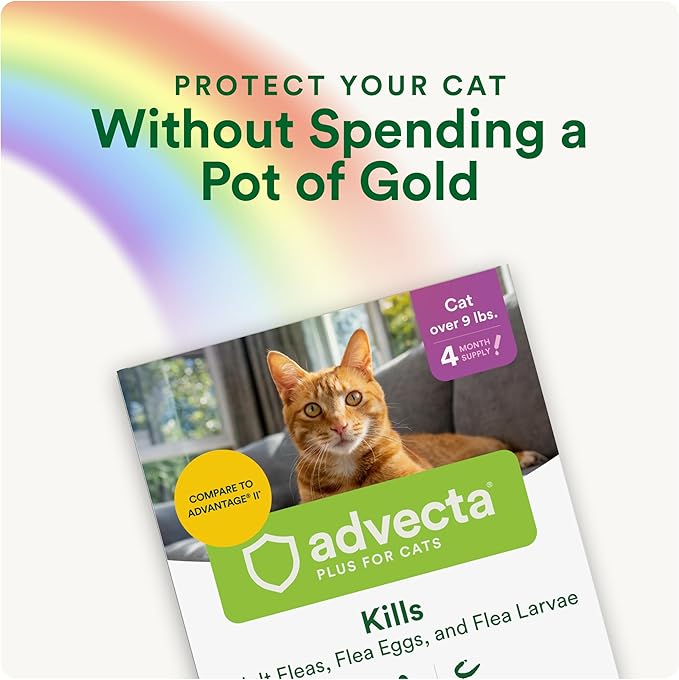 Advecta Plus Topical Large Cat Flea Treatment for Cats and Kittens, Flea Prevention and Control, Fast-Acting Waterproof Drops, 2-Month Supply