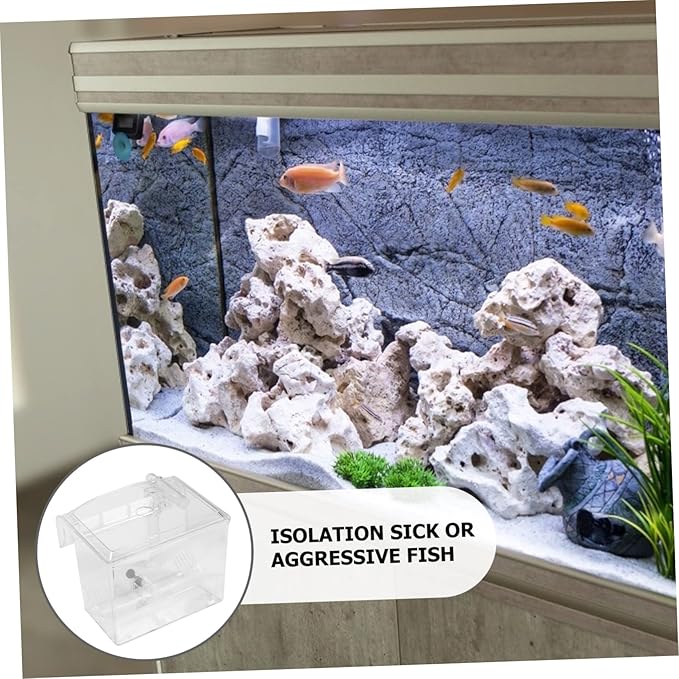 1pc Fish Breeding Isolation Box Pneumatic Design for Freshwater Tanks for Fish and Shrimp Aquarium Incubator for Healthy Hatching Environment