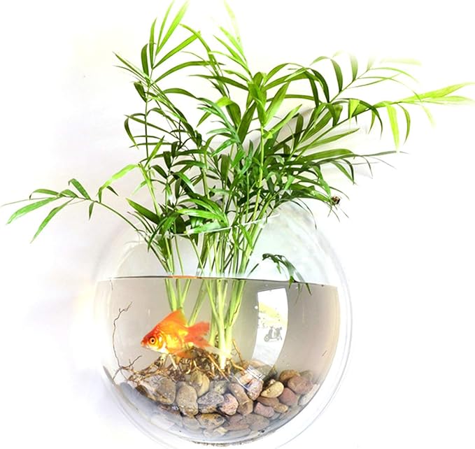 Wall Fish Bowl, Small Hanging Goldfish Fish Tanks, Clear Acrylic Betta Fish Tank, for Aquarium Wall Plant Pot Decoration Planter Flower