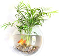 Wall Fish Bowl, Small Hanging Goldfish Fish Tanks, Clear Acrylic Betta Fish Tank, for Aquarium Wall Plant Pot Decoration Planter Flower