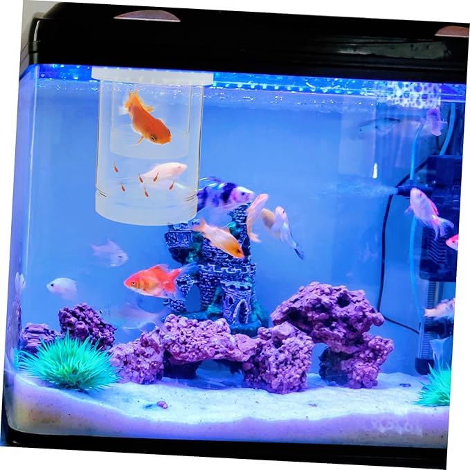 1 Set Floating Fish Breeding Box Transparent Isolation Incubator for Guppy Betta Shrimp Secure Fry Environment with Automatic Water Level for Aquariums