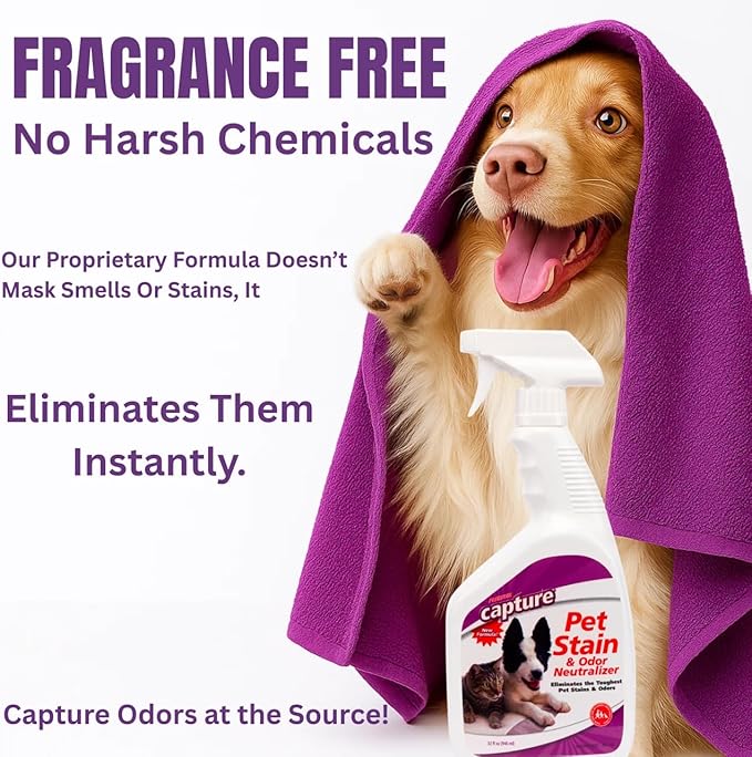Capture Pet Stain & Odor Remover - Enzyme Pet Odor Eliminator for Home, Carpet Stain Remover for Cats & Dog Pee, Cat Urine Destroyer, Carpet Cleaner Spray - 32oz Portable Spray Bottle (2 Pack)