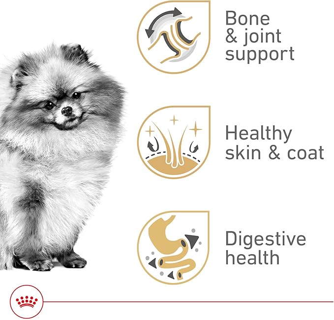 Royal Canin Breed Health Nutrition Pomeranian Adult Loaf in Sauce Dog Food, 3 oz (Pack of 6)