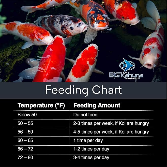 BIG Kahuna Koi Fish Food for Ponds 19lb - Koi Food for Pond Fish Food Pellets – 3/16-1/4 Floating Pond Pellet