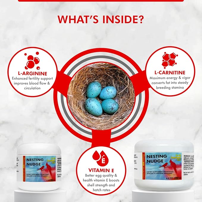 Morning Bird Nesting Nudge 2 Oz – Supports Reproductive Health & Energy – Stimulates Male and Female Reproductive Systems - Breeding Supplement with Essential Amino Acids & Vitamin D3