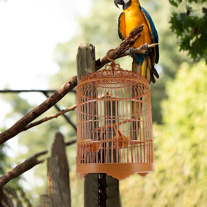 Round Bird Cage, 25cm Plastic Display Cage for Parrots & Cockatiels - Portable Hanging Birdcage with Feeder for Small Birds Finches Canaries Budgies 9.8" X 17.6",Yellow