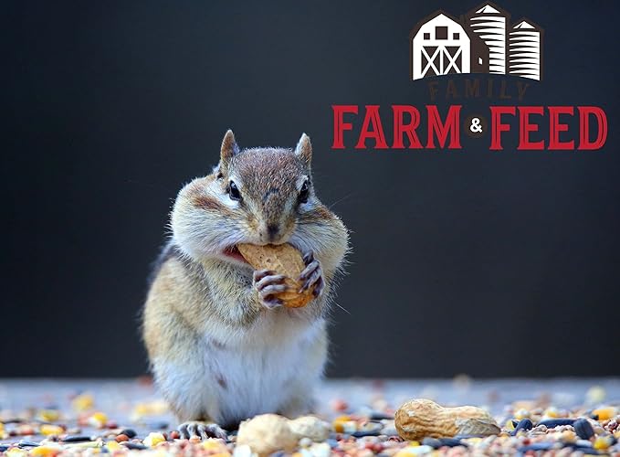 | Four Seasons | Critter Mix | Wild Bird Food | Backyard Songbird | 4 Pounds